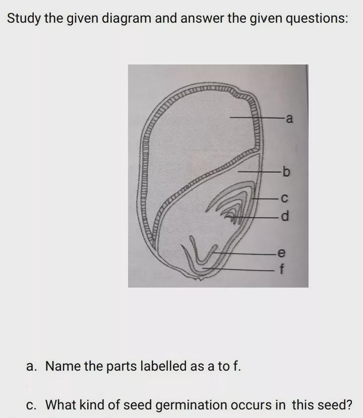 Please help me label this diagram and that c question only. I am confused in it.-example-1