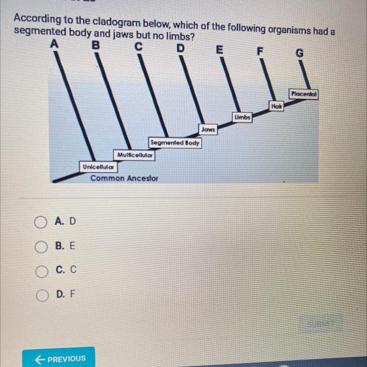 According to the cladogram below, which of the following organisms had asegmented-example-1