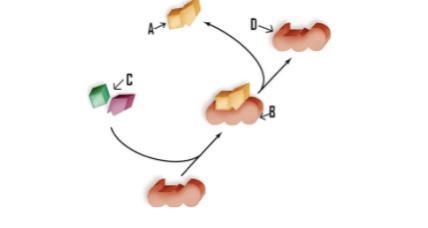 PLEASE HELP Analyze this figure to categorize the chemical reaction as a synthesis-example-1