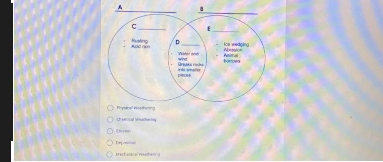 Woor Wheel Skylar Johnson .Pr. e ScootPad: Where L P Prodigy Reasons why you s. Computer-example-1