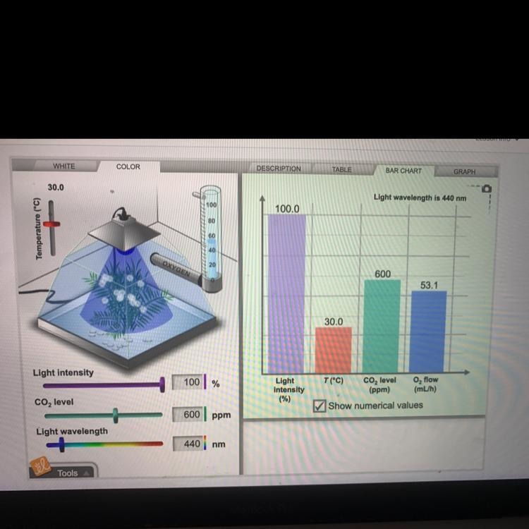 Describe what the dependent variable is for this experiment and how do you know.-example-1