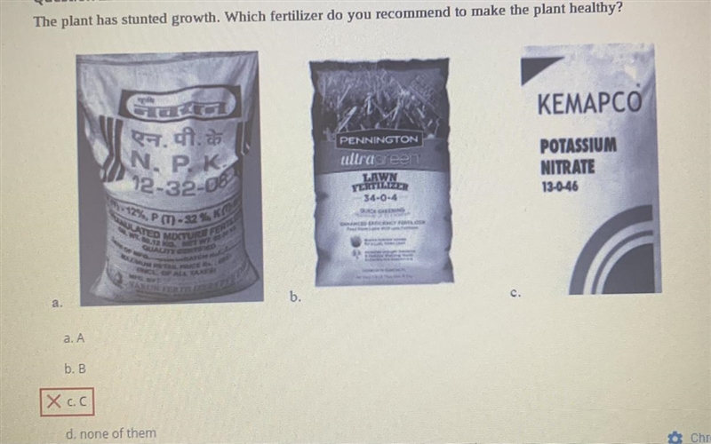 The plant has stunted growth. Which fertilizer do you recommend to make the plant-example-1