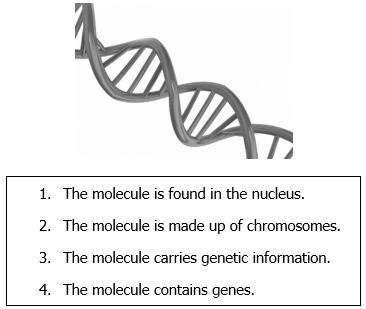 PLEASE HURRY !!! A student examines a picture of an important biological molecule-example-1