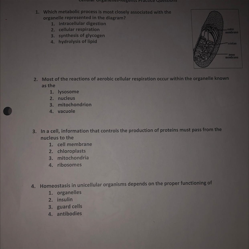 HELP SOLVE ASAP (living environment) 20 POINTS-example-1