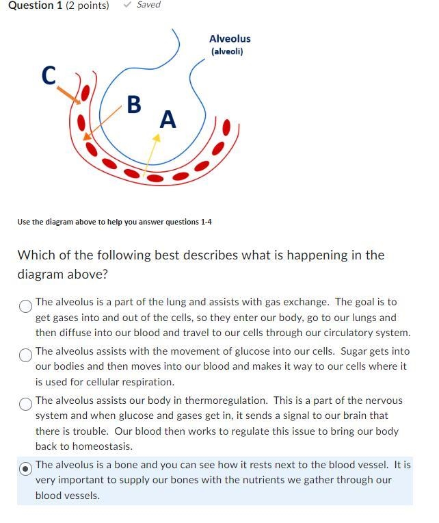 HELP ASAP, this is for k12 bio-example-1