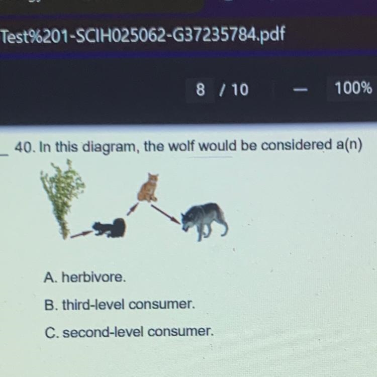 40. In this diagram, the wolf would be considered a(n)-example-1