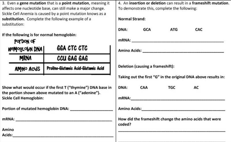 Can someone PLease help me with these questions?!-example-2