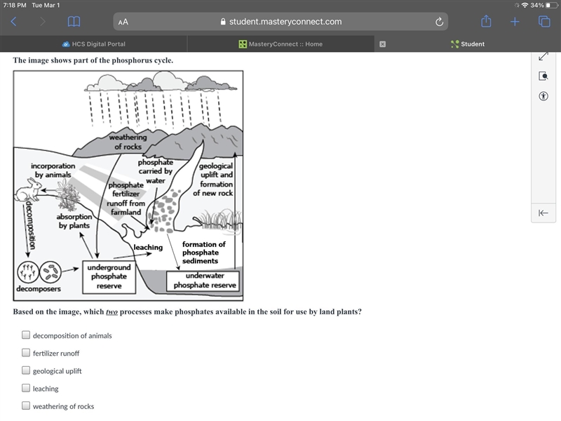 Which two processes make phosphates available in the soil for use by land plants?-example-1