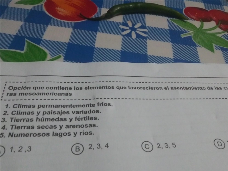 Opción que contiene los elementos que favorecieron el asentamiento de las culturas-example-1