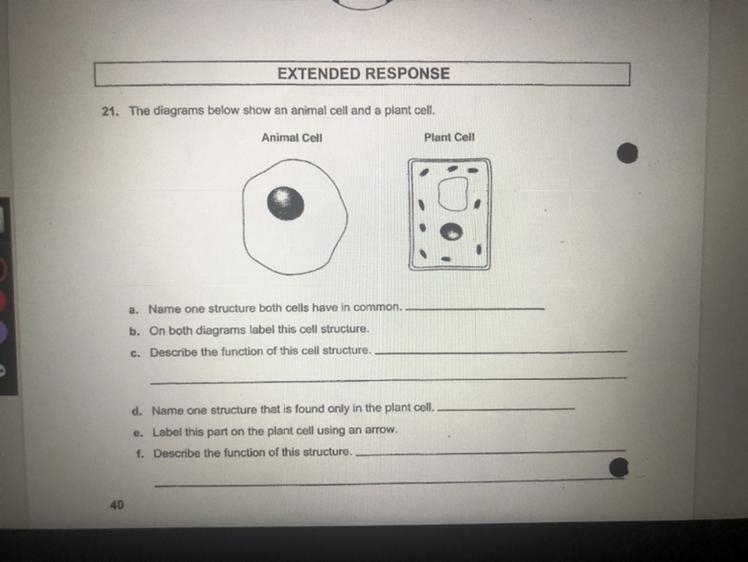 Can someone help me fill this out??-example-1