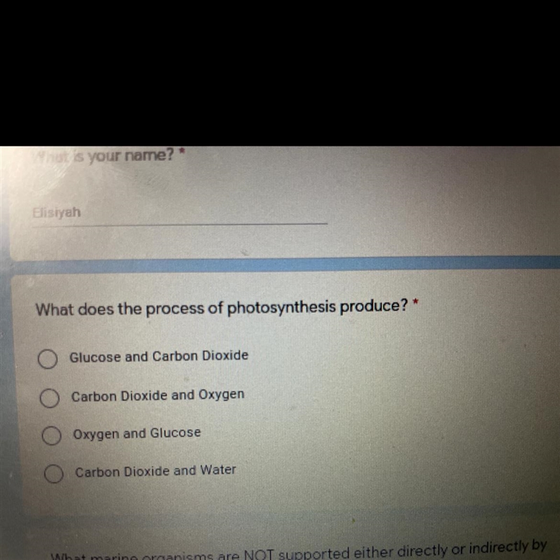 What does the process of photosynthesis produce?-example-1