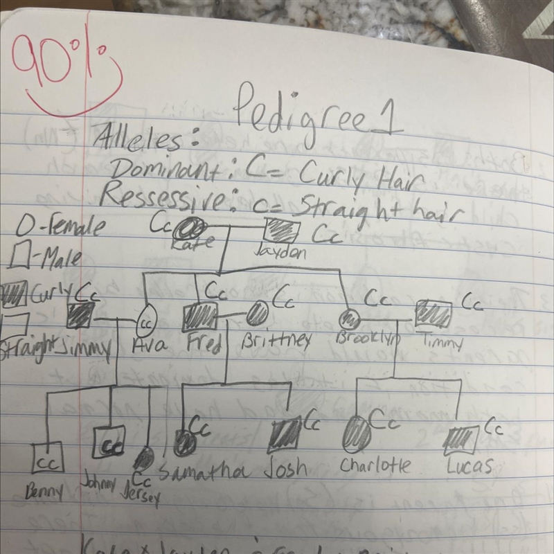 Hello I need help with a pedigree and also punnet square the trait of interest is-example-1