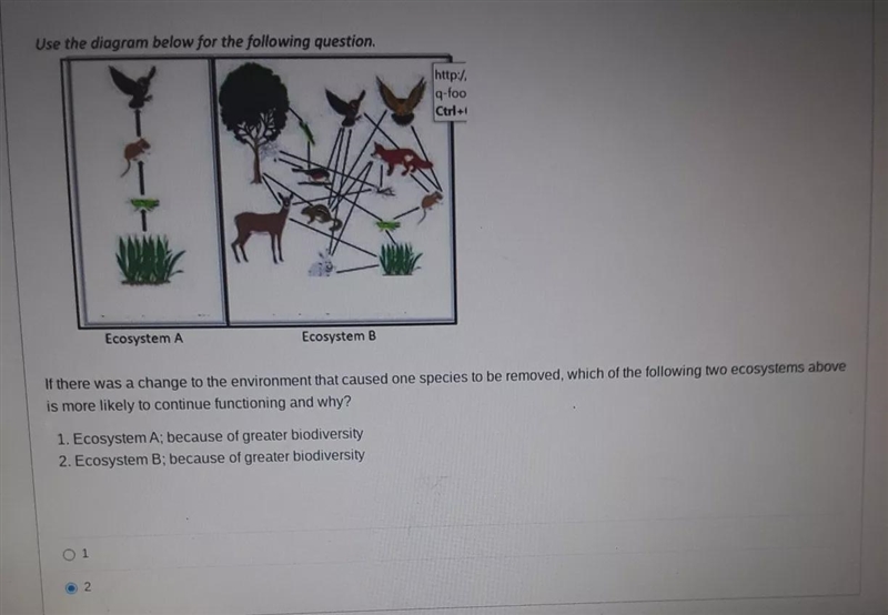 I need help with figuring which ecosystem would be affected if one species is removed-example-1