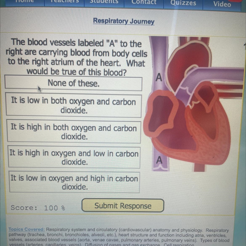 The blood vessels labeled “A” to the right are carrying blood from body cells to the-example-1