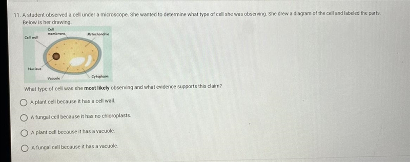 11. A student observed a cell under a microscope. She wanted to determine what type-example-1