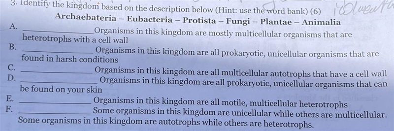 3. Identify the kingdom based on the description below (Hint: use the word bank) (6) OutinduentArchaebateria-example-1