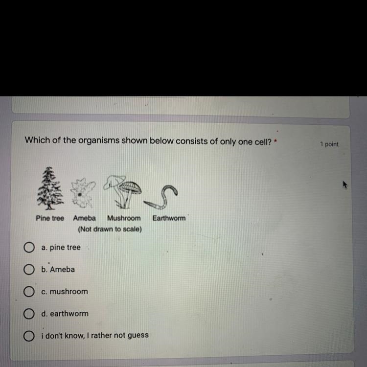 Which of the organisms shown below consist of only one cell?a) Pine treeb) Amoebac-example-1