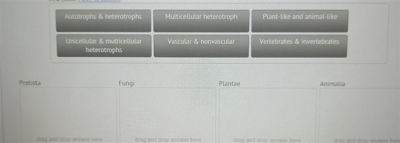 The four eukaaryotic kingdoms of life are listed here. Each kingdom has unique characteristics-example-1