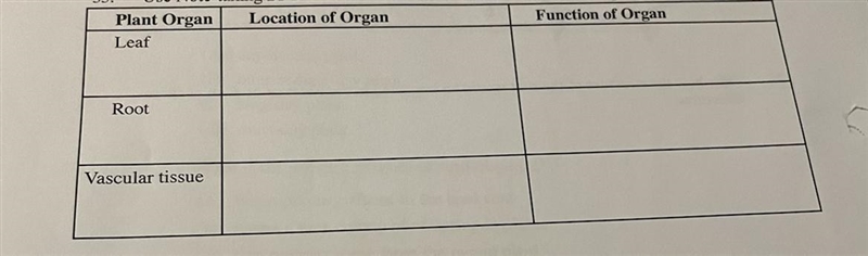 I need help with homework Question Describe the location and function of each part-example-1