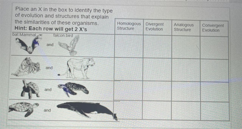 Place an X in the box to identify the type of evolution and structures that explain-example-1