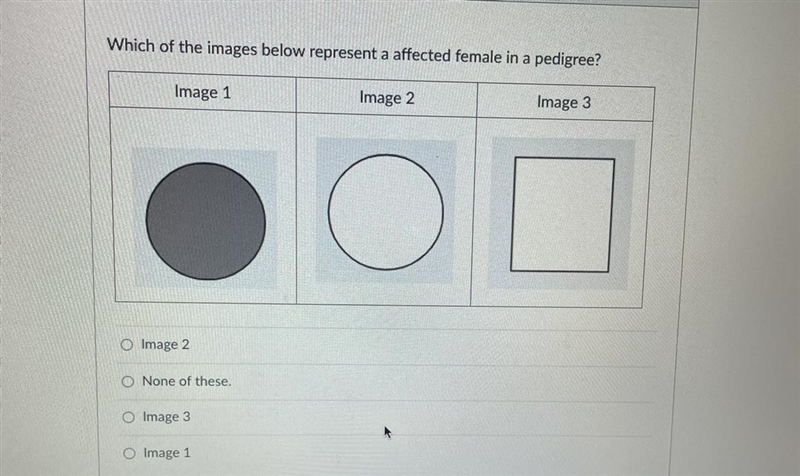 Which one represent a affected male in a pedigree and which one represent an affected-example-1