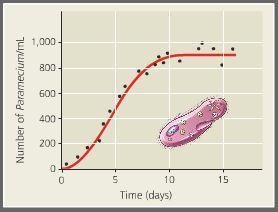 Match the graph with the correct label. Question 17 options:1.Exponential growth2.Logistic-example-1