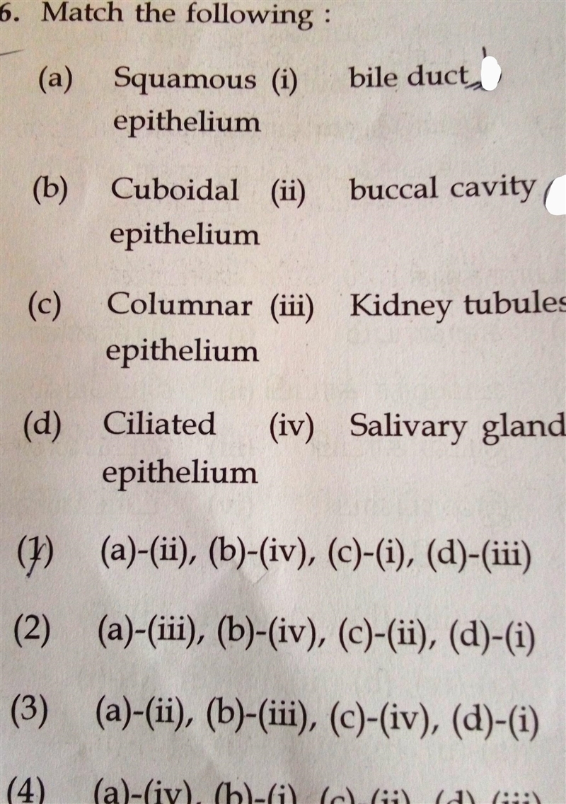 I attached the question ​-example-1