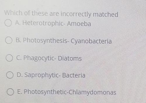 Which of these are incorrectly matched:A) Heterotrophic - AmoebaB) Photosynthesis-example-1