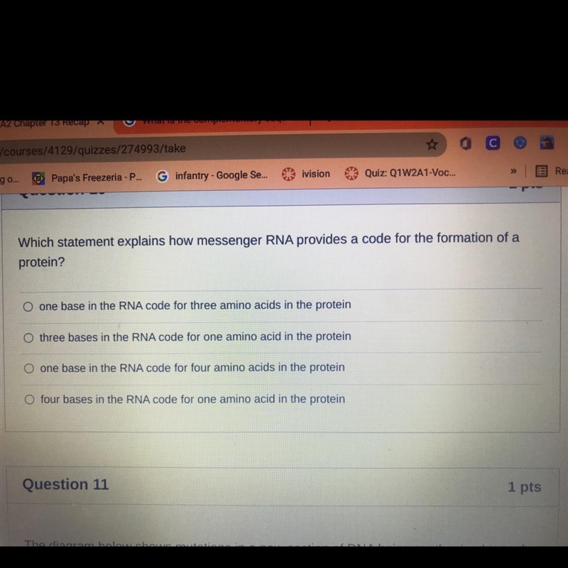 Which statement explains how messenger RNA provides a code for the formation of a-example-1