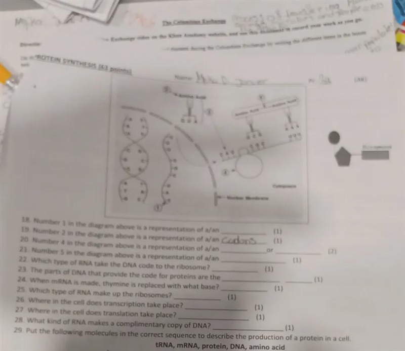 Number 1 in the diagram above is a representation of a/an-example-1