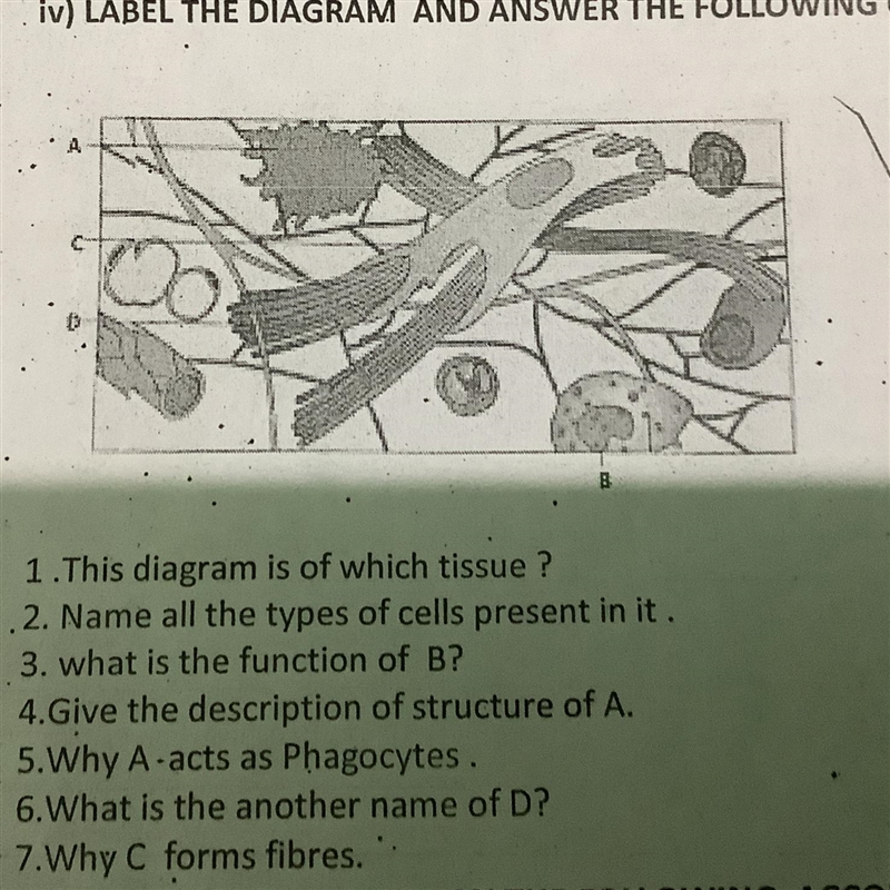 Pls solve this fast-example-1