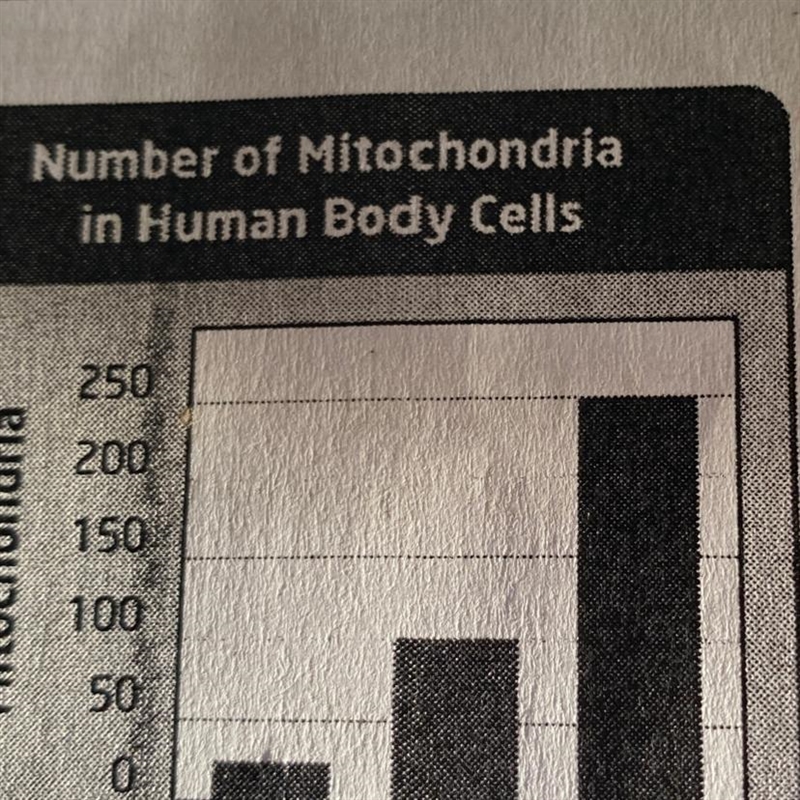 Why do skin cells have the least number of mitochondria?-example-1