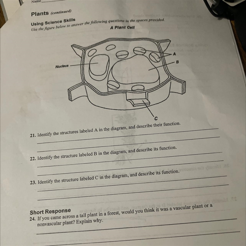 Hi, I need help on 21 please provide an explanation that a kid would give so my teacher-example-1