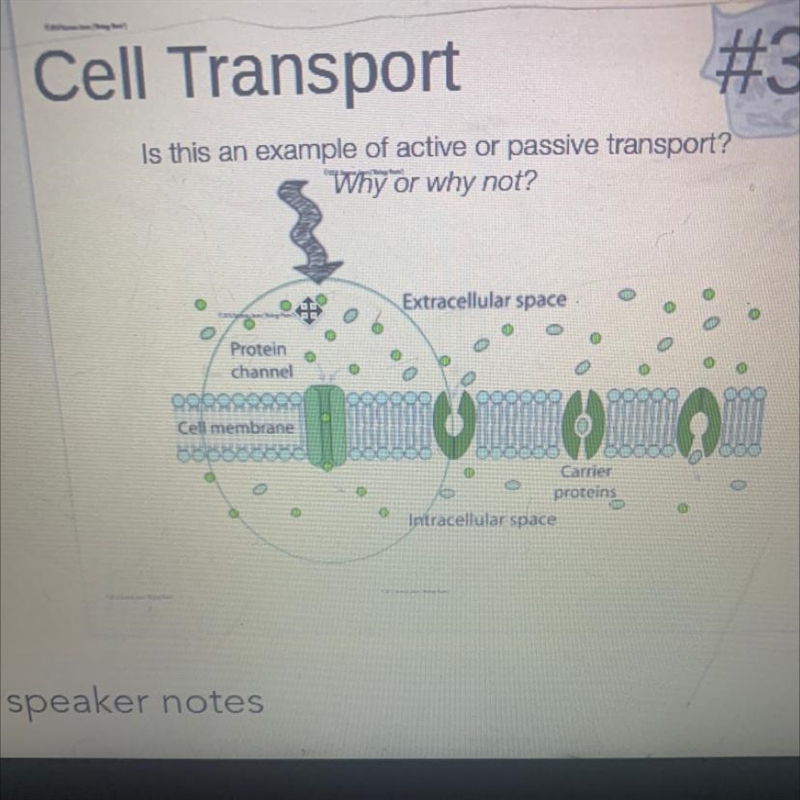 Cell Transport #3 Is this an example of active or passive transport? "Why or-example-1