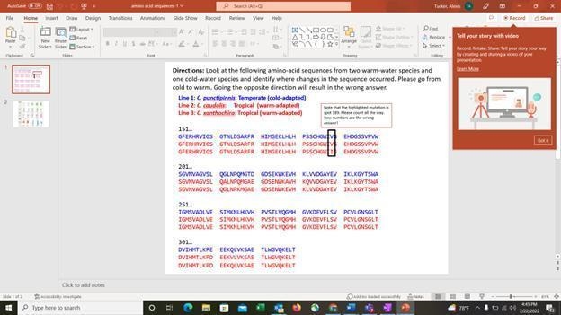 1. Which amino acids changed between the three species? List four of them below, using-example-1