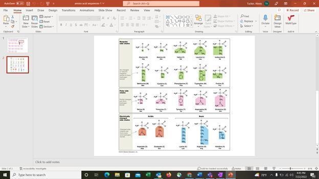 1. Which amino acids changed between the three species? List four of them below, using-example-2