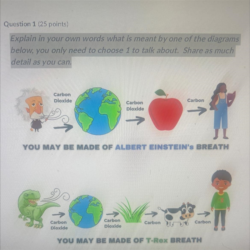 PLEASE HELP ME DUE A WEEK AGO-example-1