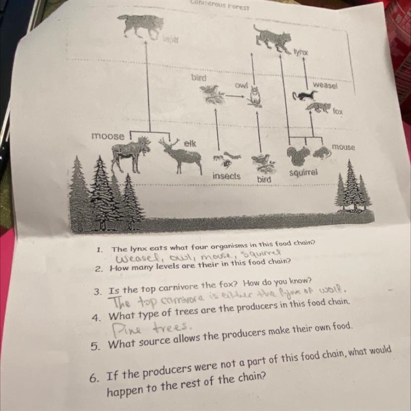 Can someone give me the answers to 2 5 and 6? PLEASE-example-1