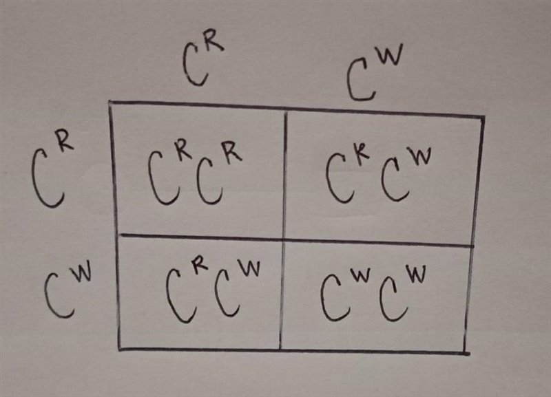 Complex patterns of inheritance, 10th grade4th problem: Pink and Pink-example-1