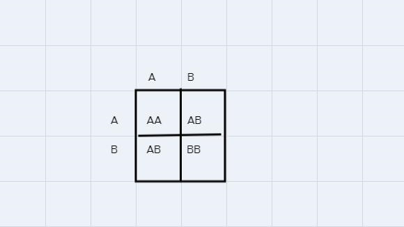 What are blood types possible for a child whose parents both have AB blood types?I-example-1