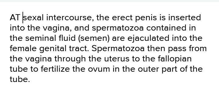 Write the process of sexual reproduction in humans ​-example-1