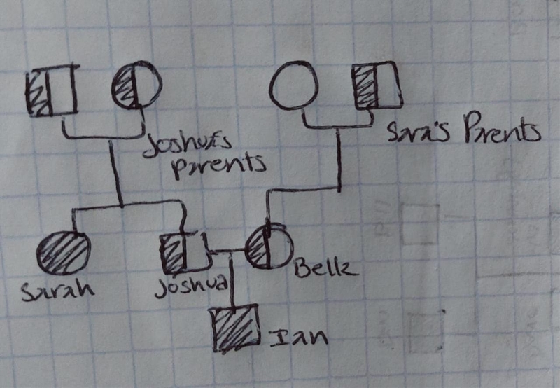 I need help please with this I need to make a punnet square to prove my pedigree-example-1