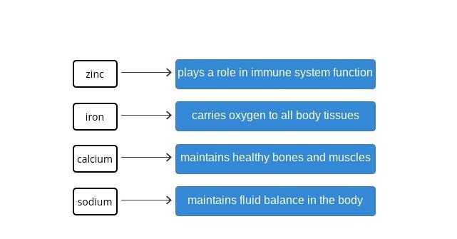 Match each mineral with its main function in the body. maintains fluid balance in-example-1