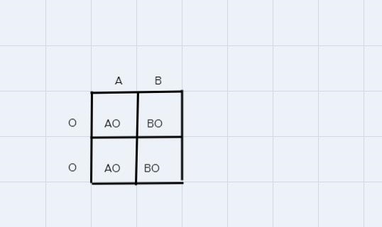 BLOOD TYPE PROBLEMS BELOW:Phenotype GenotypesType A AA or AOType B BB or BOType AB-example-1