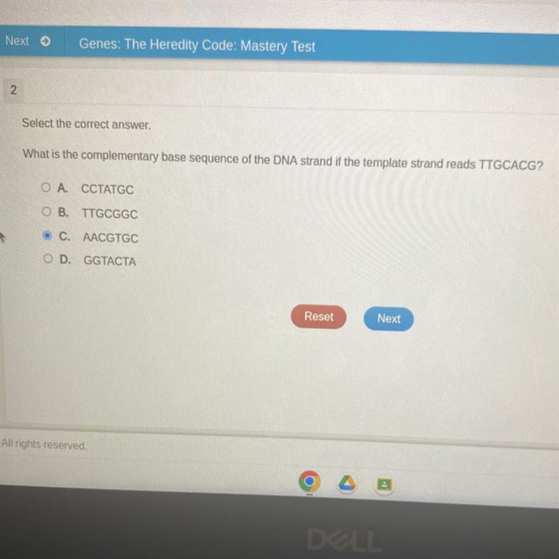 What is the complementary base sequence of the DNA strands of the template strand-example-1