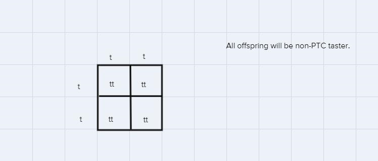 A couple has three children and ALL of them are Non-tasters of PTC.What is the percentage-example-1