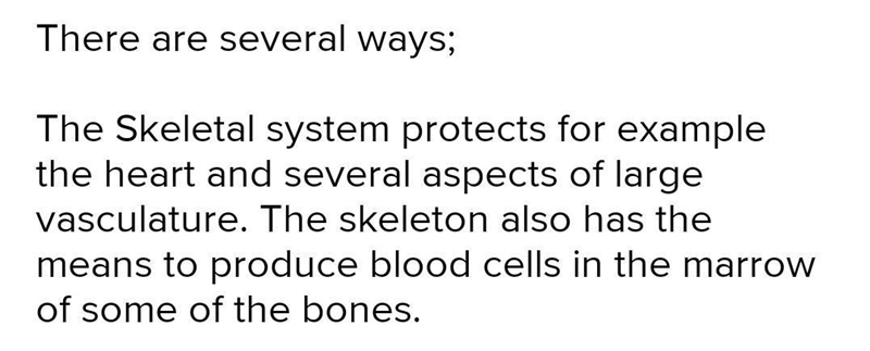 5. Describe one way the skeletal system helps the immune system function. (4 points-example-1