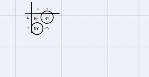 In a species of fish, red scales (RR) and yellow scales (YY) are codominant. When-example-1