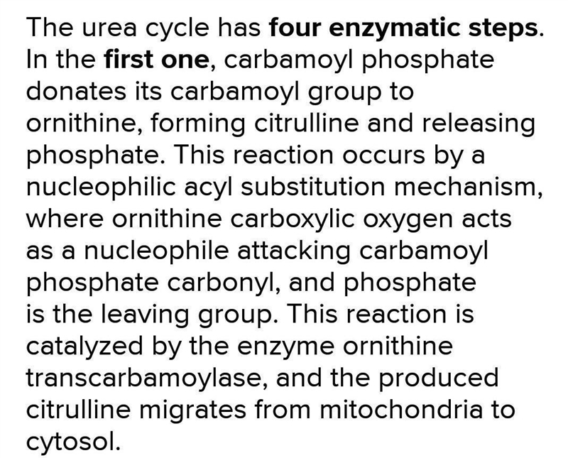 Describe the urea cycle. I-example-1