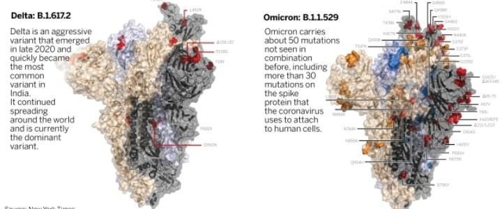 Dofferentiate between delta and omicron virus mutations​-example-1